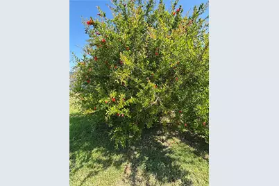 1500 Walton Street, Oceanside, CA 92058 - Photo 13