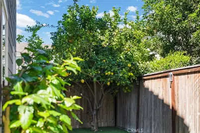 9 Flowerdale, Ladera Ranch, CA 92694 - Photo 39