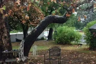 16160 Harvest Moon, La Puente, CA 91744 - Photo 19