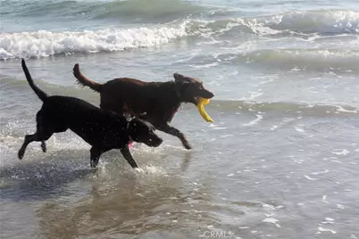 5961 Nugget, Huntington Beach, CA 92647 - Photo 47