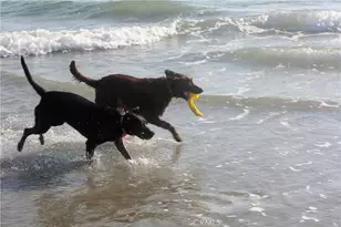 5961 Nugget, Huntington Beach, CA 92647 - Photo 47