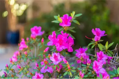 1920 Flint Rock Road, Diamond Bar, CA 91765 - Photo 59