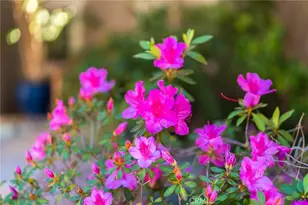 1920 Flint Rock Rd, Diamond Bar, CA 91765 - Photo 59