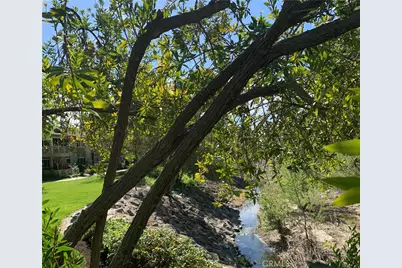 897 Ronda Sevilla C, Laguna Woods, CA 92637 - Photo 17