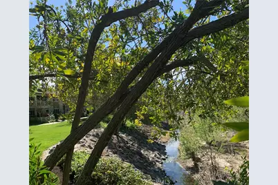 897 Ronda Sevilla C, Laguna Woods, CA 92637 - Photo 3