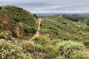 10533 Emerson Bend, Tustin, CA 92782 - Photo 53