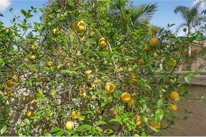 1 Encantado Canyon, Rancho Santa Margarita, CA 92688 - Photo 33