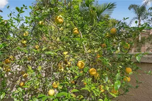 1 Encantado Canyon, Rancho Santa Margarita, CA 92688 - Photo 33