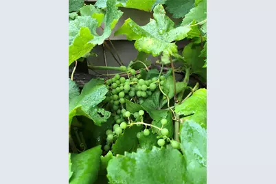 3 Ardmore, Irvine, CA 92602 - Photo 41