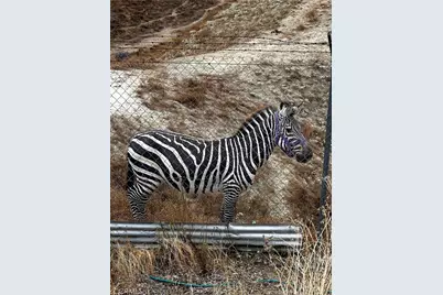 300 Anderson, Hemet, CA 92544 - Photo 5