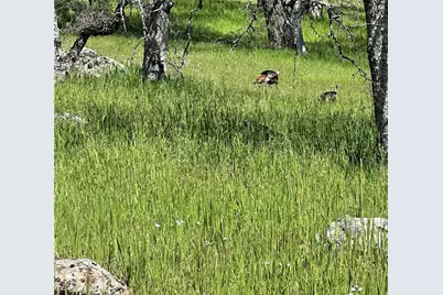 18461 Old Wards Ferry Road, Sonora, CA 95370 - Photo 11