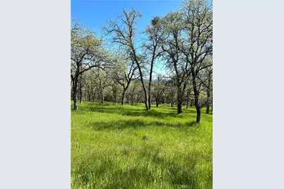 18461 Old Wards Ferry Road, Sonora, CA 95370 - Photo 13