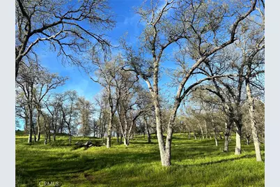 18461 Old Wards Ferry Road, Sonora, CA 95370 - Photo 9