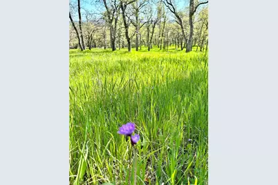 18461 Old Wards Ferry Road, Sonora, CA 95370 - Photo 1