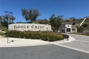 18411 Boulder Blf, Silverado, CA 92676 - Photo 41