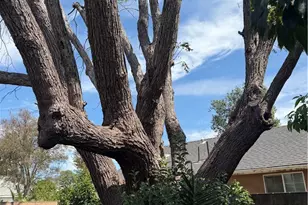 7232 Zelzah, Reseda, CA 91335 - Photo 3