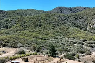 59353 Hop Patch Spring, Mountain Center, CA 92561 - Photo 5