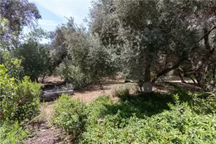 21865 Delicia, Rancho Santa Margarita, CA 92679 - Photo 45