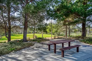 5 Pinewood, Coto de Caza, CA 92679 - Photo 41