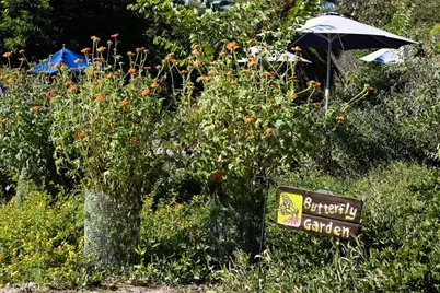 28052 Via Congora, Mission Viejo, CA 92692 - Photo 57