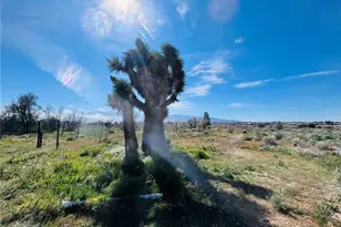 10024 Anderson Ranch, Phelan, CA 92371 - Photo 31