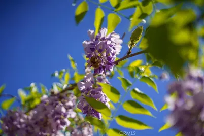 1 Sand Oaks, Laguna Niguel, CA 92677 - Photo 7