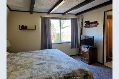 42806 Cougar, Big Bear Lake, CA 92315 - Photo 11