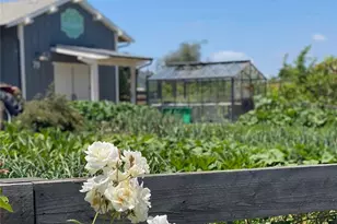 26 Yerra, Rancho Mission Viejo, CA 92694 - Photo 69