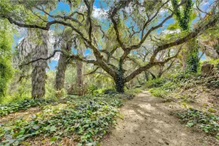 3013 Olive Hill, Fallbrook, CA 92028 - Photo 73