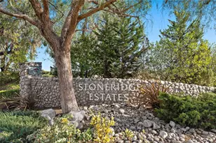 29902 Hillside Terrace, San Juan Capistrano, CA 92675 - Photo 67
