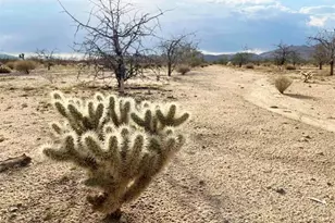 5238 Rice Ave, Joshua Tree, CA 92252 - Photo 25