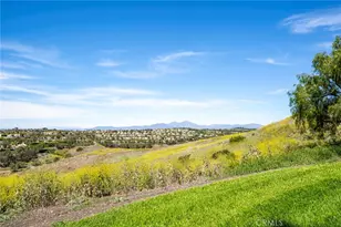 3 Taylor Pl, Laguna Niguel, CA 92677 - Photo 59