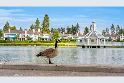 65 Pinewood #33, Irvine, CA 92604 - Photo 41