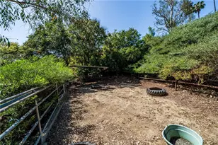 29612 Spotted Bull, San Juan Capistrano, CA 92675 - Photo 33