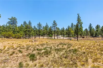 36350 Butterfly Peak, Mountain Center, CA 92561 - Photo 41