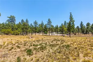 36350 Butterfly Peak, Mountain Center, CA 92561 - Photo 41