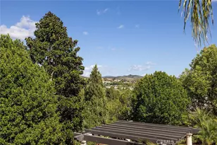 26 Palomino, Coto de Caza, CA 92679 - Photo 33
