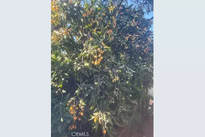 928 W Buffington, Upland, CA 91784 - Photo 3