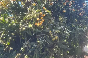 928 W Buffington, Upland, CA 91784 - Photo 3