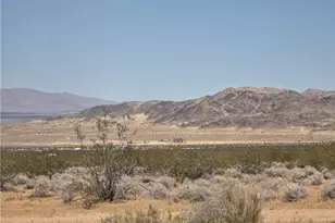 51033 Joshua Tree, Johnson Valley, CA 92285 - Photo 29