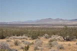 51033 Joshua Tree, Johnson Valley, CA 92285 - Photo 25