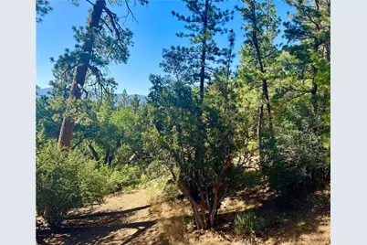 810 Villa Grove Avenue, Big Bear City, CA 92314 - Photo 27