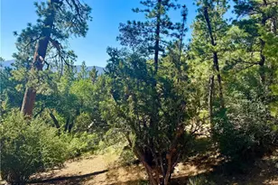 810 Villa Grove Ave, Big Bear City, CA 92314 - Photo 27