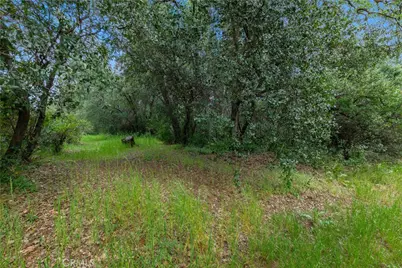 1720 McKinney, Redding, CA 96003 - Photo 7
