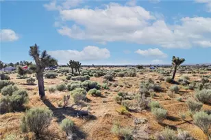 8908 Wilson Ranch Rd, Phelan, CA 92371 - Photo 39