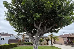 5552 Vonnie, Cypress, CA 90630 - Photo 3