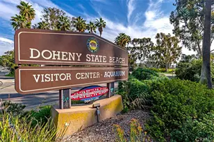 25611 Quail Run, Dana Point, CA 92629 - Photo 23