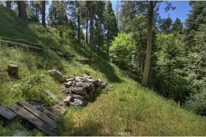24601 Geneva Drive, Crestline, CA 92325 - Photo 19