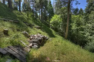 24601 Geneva Dr, Crestline, CA 92325 - Photo 19