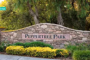 1045 Inverlochy, Fallbrook, CA 92028 - Photo 39